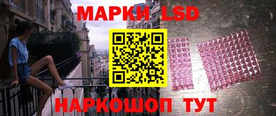 Альфа ПВП Ярославль