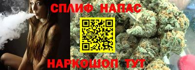 Альфа ПВП Ярославль